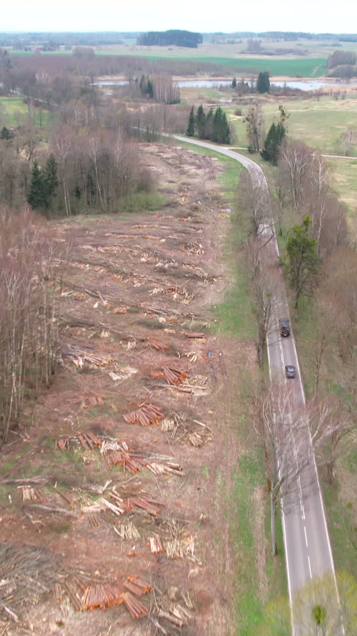 High angle aerial shot showing a large area of cleared forest with stacked logs next to a winding country road. Ideal for environmental impact and timber industry content