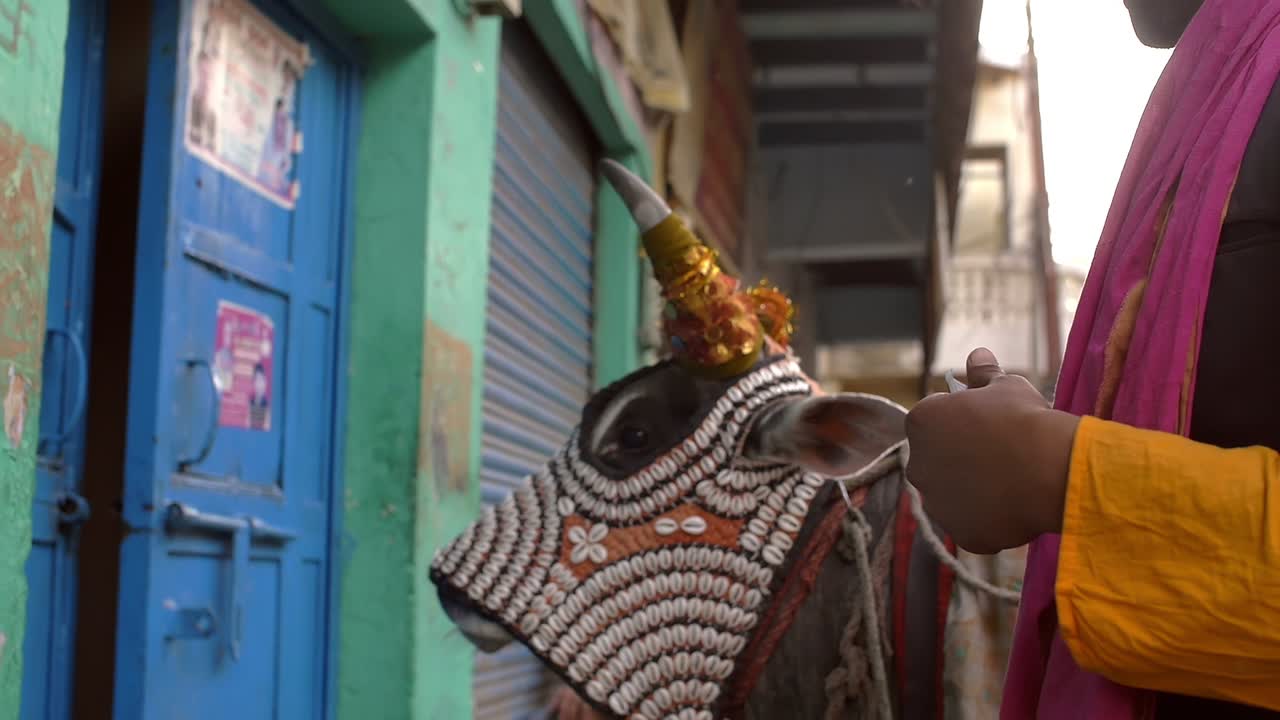 인도 종교 거지