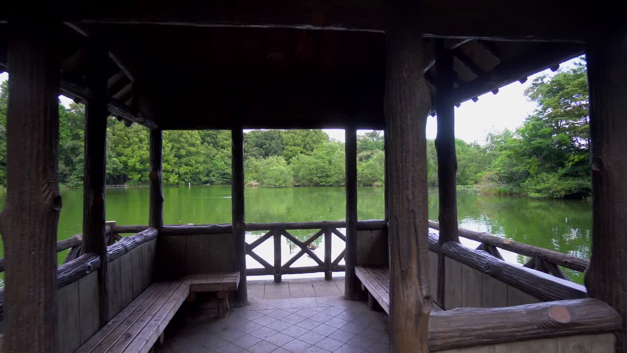 el parque shakujii en tokio es un lugar hermoso en cualquier estación del año, mucha gente va a caminar, pescar y hacer ejercicio