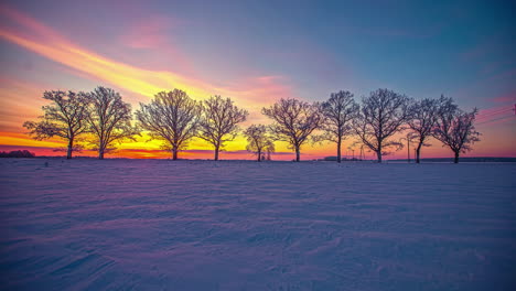 Zeitrafferaufnahme-Des-Goldenen-Sonnenaufgangs-Hinter-Der-Blattlosen-Baumallee-Während-Des-Wintertages