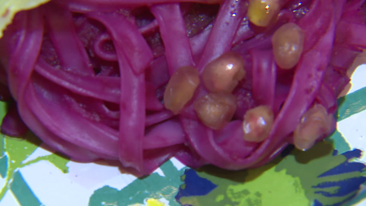 Purple Cabbage Dish with Pomegranate Seeds