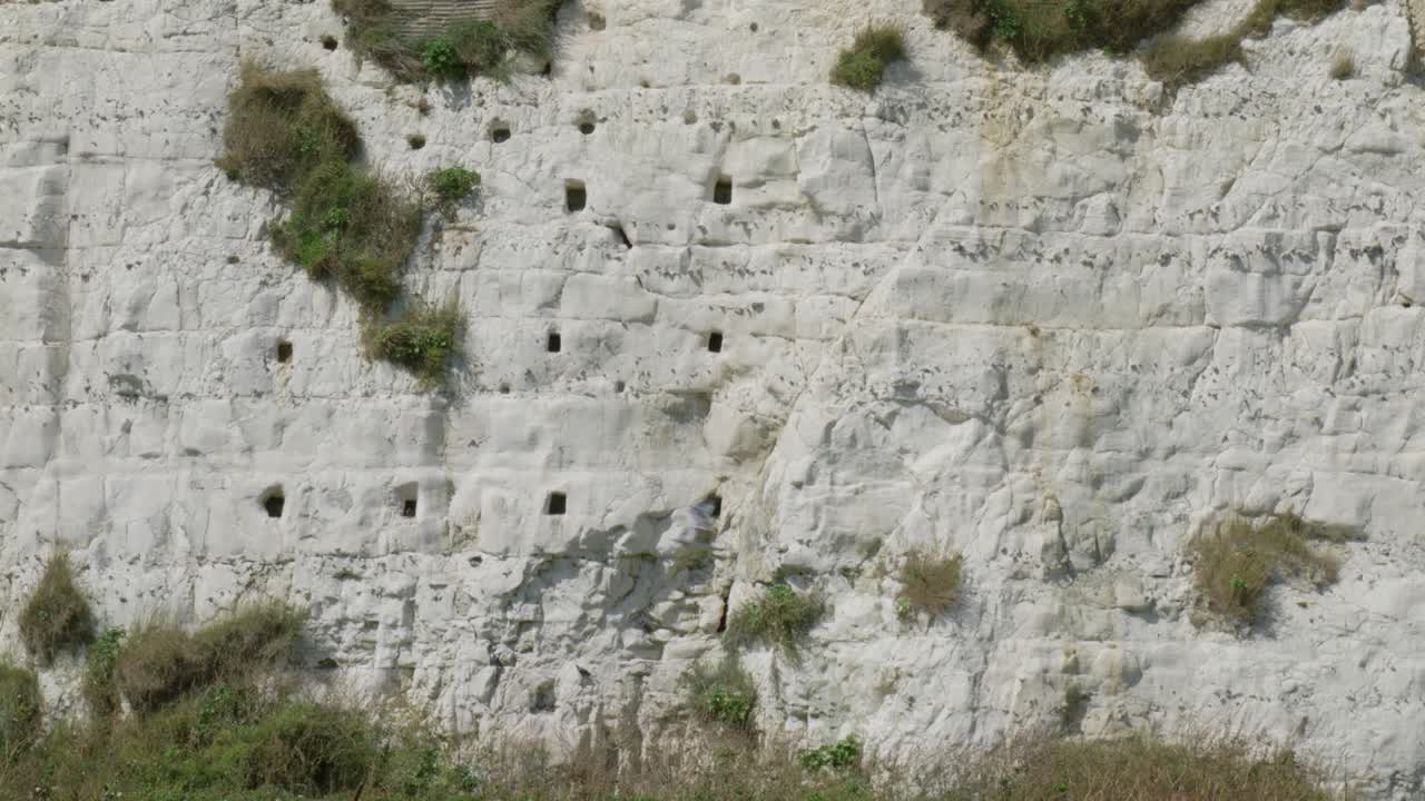 A striking white chalk cliff shows visible layers of sedimentary rock, marked by erosion and nesting holes. Greenery and shrubs add a touch of nature to this rugged geological formation