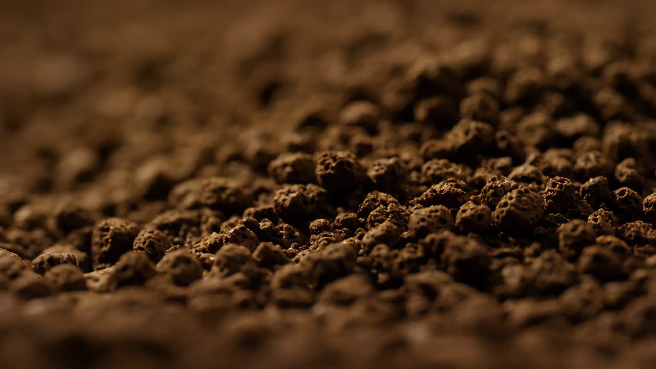Close-up of Instant Coffee Granules