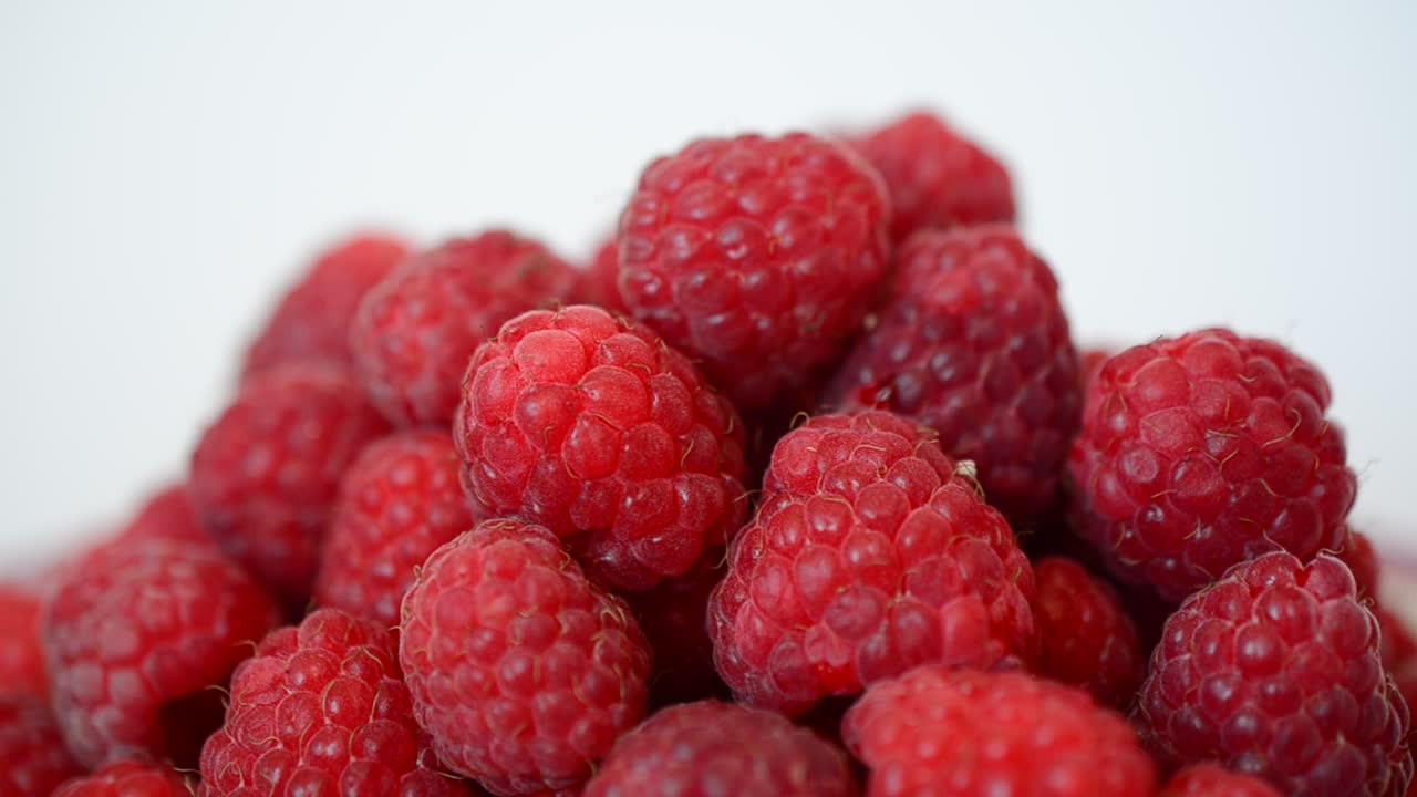 Shooting of raspberry. Summer berries