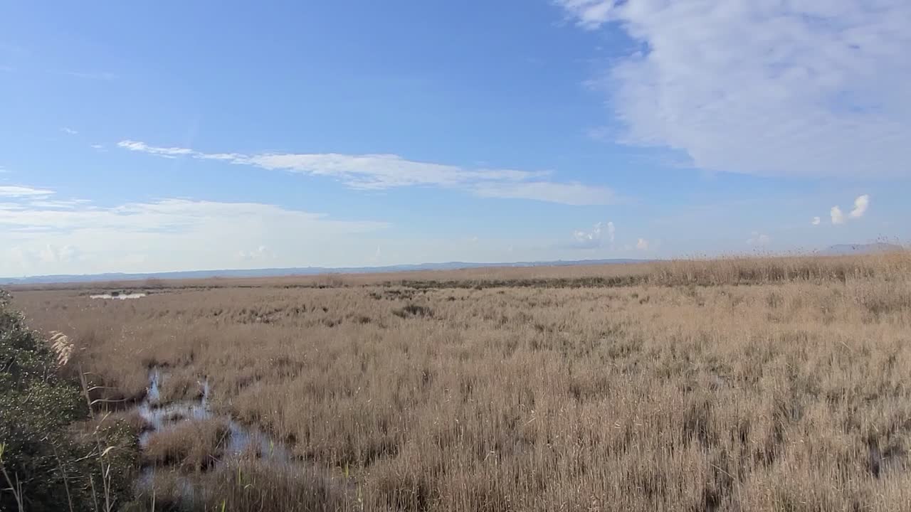 mirador del parque nacional de la alfubera en alcudia