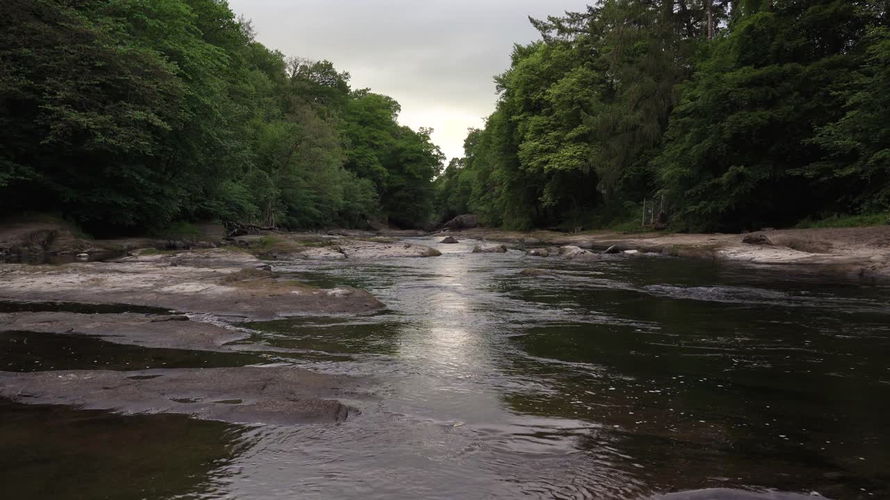 Vista di un fiume tranquillo circondato da alberi