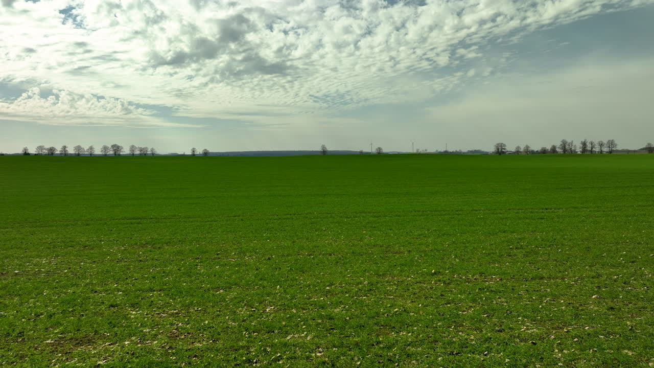 Vista Ampla de Campo Agrícola Verde