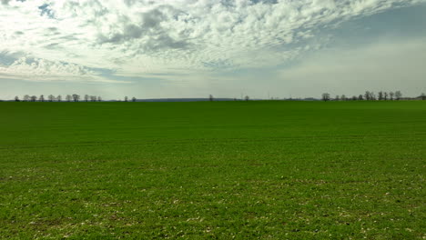 vista expansiva del campo agrícola verde