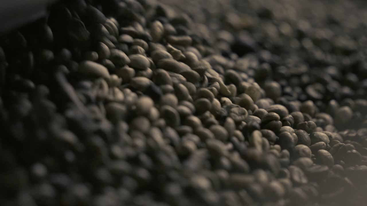Robusta coffee beans being sieved before being roasted in a factory in Vietnam