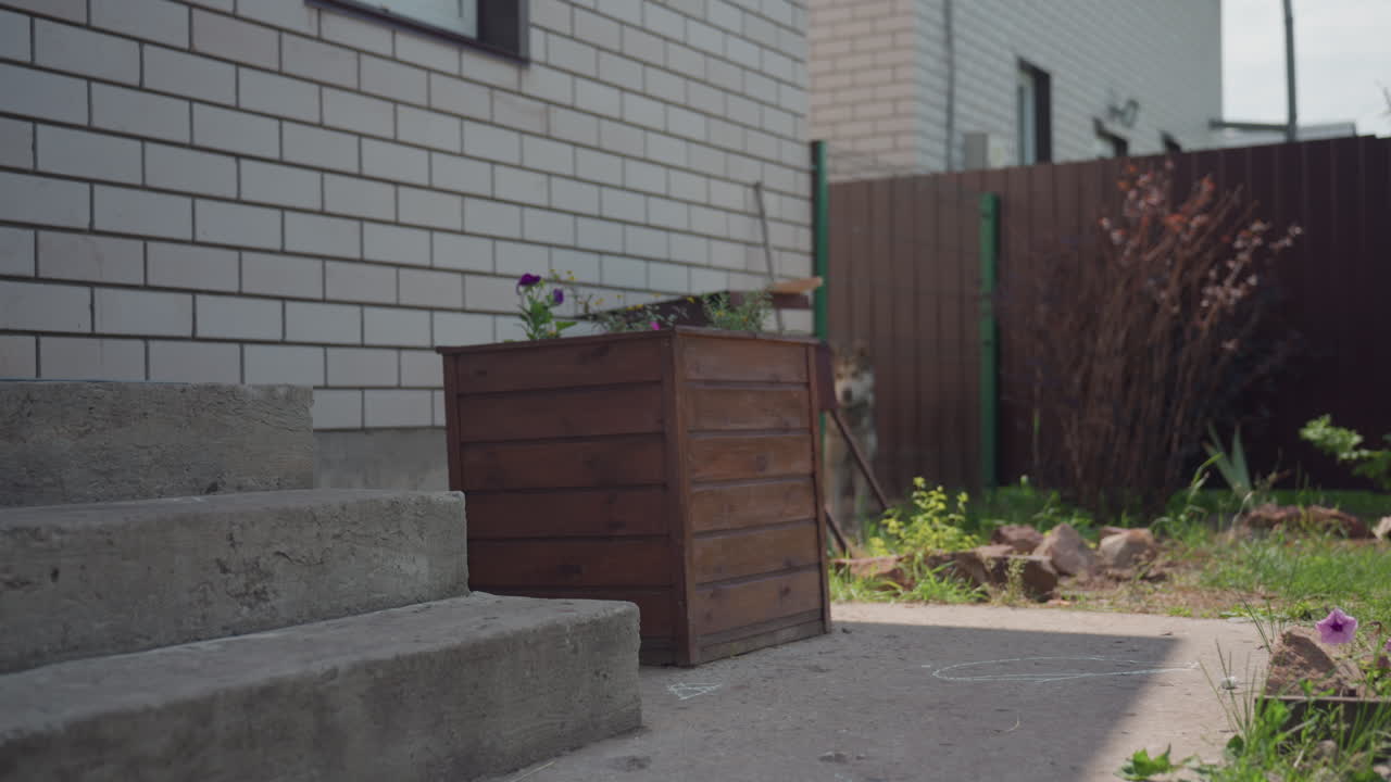 Furry Creature Relaxes Near Flora, Shy Hare Sits Quietly Close To Vibrant Flowering Plants And Garden, Gentle Small Creature Rests Peacefully Amidst Colorful Blooms And Lush Garden Surroundings