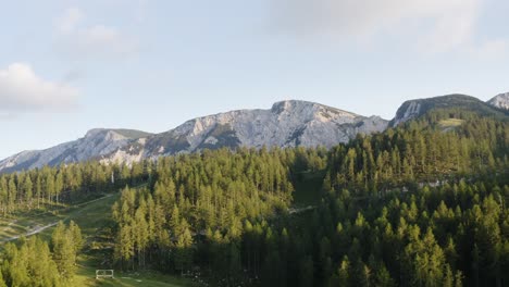 aerial pedestal up view over forested hillside near feistritz ob bleiburg