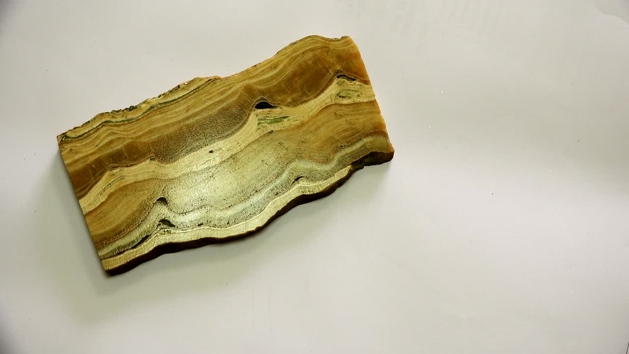 절단된 나무 모양의 돌과 삼각형 모양의 화석