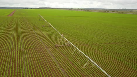 Drone-Disparó-Sobre-Un-Sistema-De-Riego-En-Un-Campo-De-Cultivo-En-Brasil