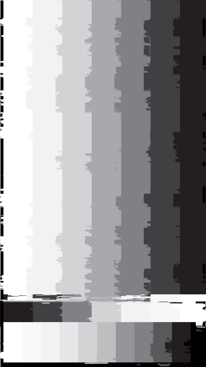 Patrón de prueba en escala de grises con efecto glitch y barras verticales y horizontales