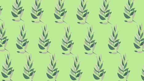 Animation-of-green-leaves-on-green-background