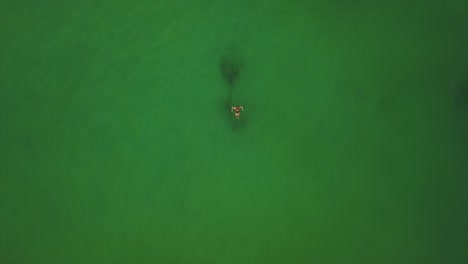 sunset light phuket island beach water swimming woman aerial down view 4k thailand