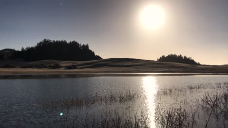 oregon dunes national recreation area near reedsport and winchester bay, and off highway 101, is a popular tourist destination for off-roading recreational vehicles