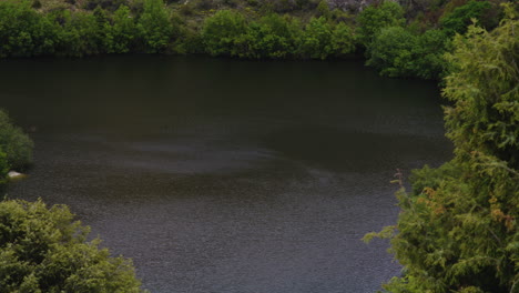 Bosque-Verde-En-La-Ribera-Del-Río-Duratón-En-El-Parque-Natural-Hoces-Del-Río-Duratón