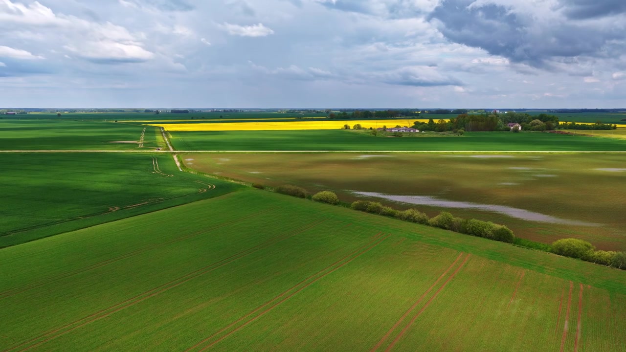 Cinematic aerial pan across vast green pastures and blooming yellow fields under a dramatic sky.