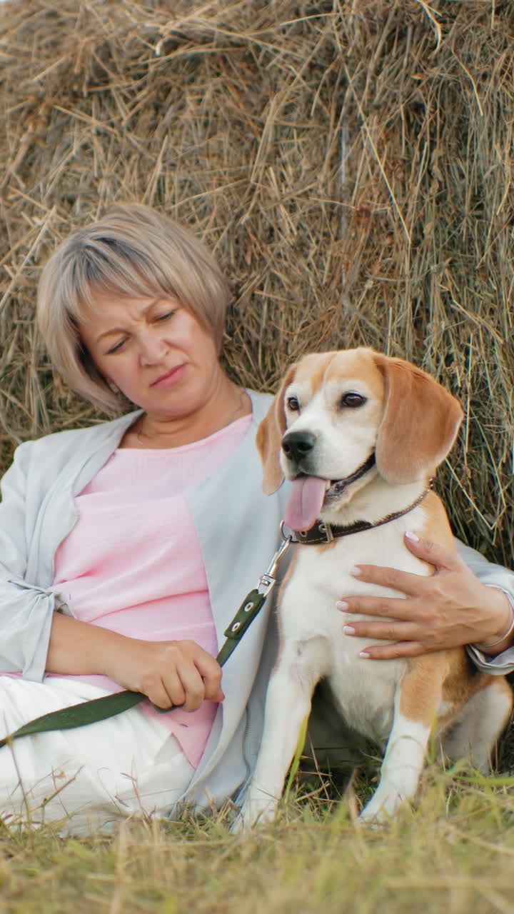 선글라스를 착용 한 중년 여성은 풀에 앉아, 행복하게 바지를 는 동안 개를 고, 언덕, 황금 풀, 구름이 많은 하늘을 고 있습니다.