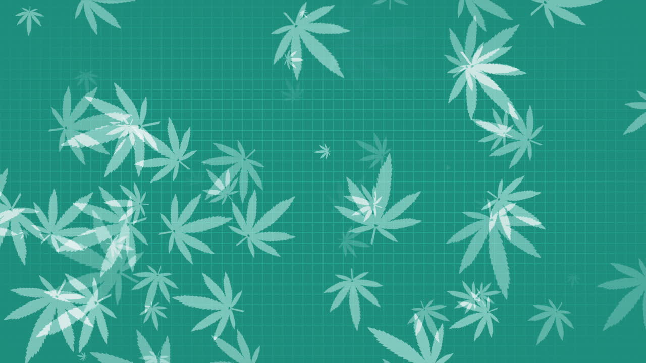 Green medical animated background with mesh and flying marijuana leaf symbols. Cannabis hand drawn background. Loop animation.