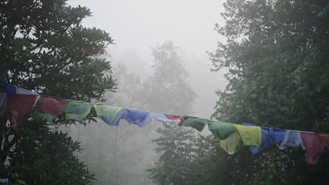 misty blue buddhist prayer flags in nepal, religious prayer flags in mist and nature in forest scenery landscape in foggy moody blue atmospheric mood scene in the himalayas in tranquil peaceful scene