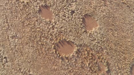 4k high circular zoom out aerial view of the famous fairy circles in the namib desert,namibia