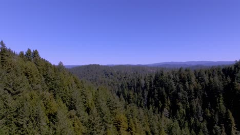 Experience-the-awe-inspiring-beauty-of-the-Santa-Cruz-Mountains-from-a-unique-perspective-with-this-stunning-aerial-footage