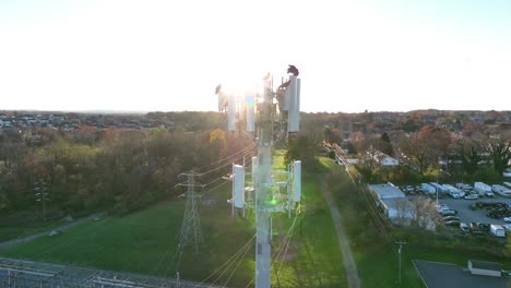 Crows-perched-on-cell-tower-in-American-industrial-park