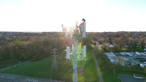 cuervos posados en la torre de telefonía celular en el parque industrial estadounidense