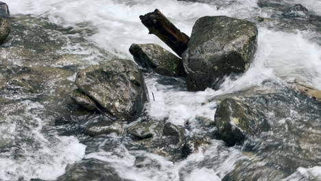 boulder on cold water background. macro shot wet stone in swift mountain river.