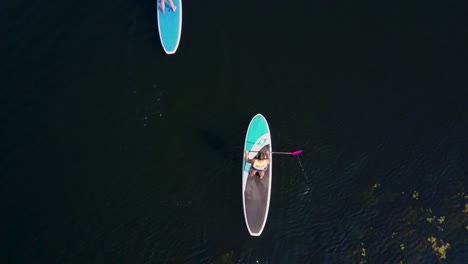 aerial, top down, drone shot,of people paddle boarding on a lake, passing through frame, in washington state, usa