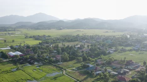 蘭卡威島,美麗的陽光的一天,樹木,草原和建築,白天光,沒有人