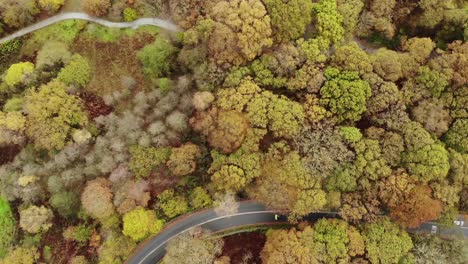 lake-district-during-autumn-from-above