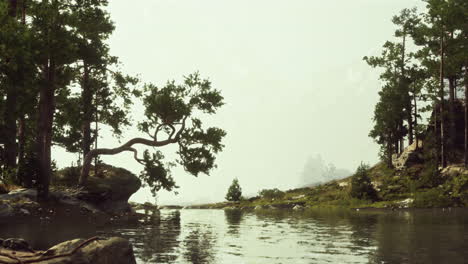 serene lake in a misty mountain forest