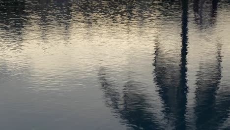 Palmen-Spiegeln-Sich-Im-Wasser-Des-Swimmingpools-Mit-Fliesen-Auf-Dem-Boden-Bei-Sonnenuntergang