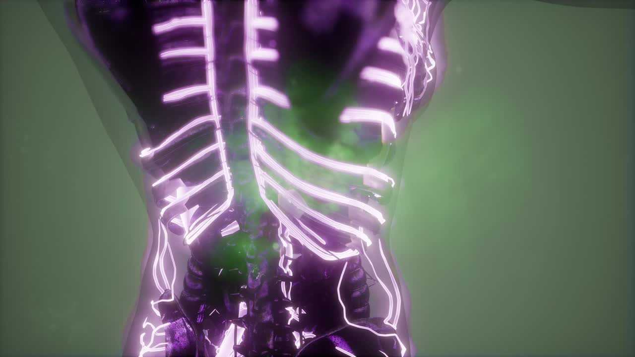 cuerpo humano con vasos sanguíneos brillantes