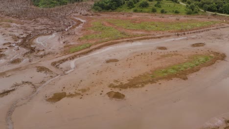 Sideways-aerial-of-tranquil-wetland-habitat,-Low-angle