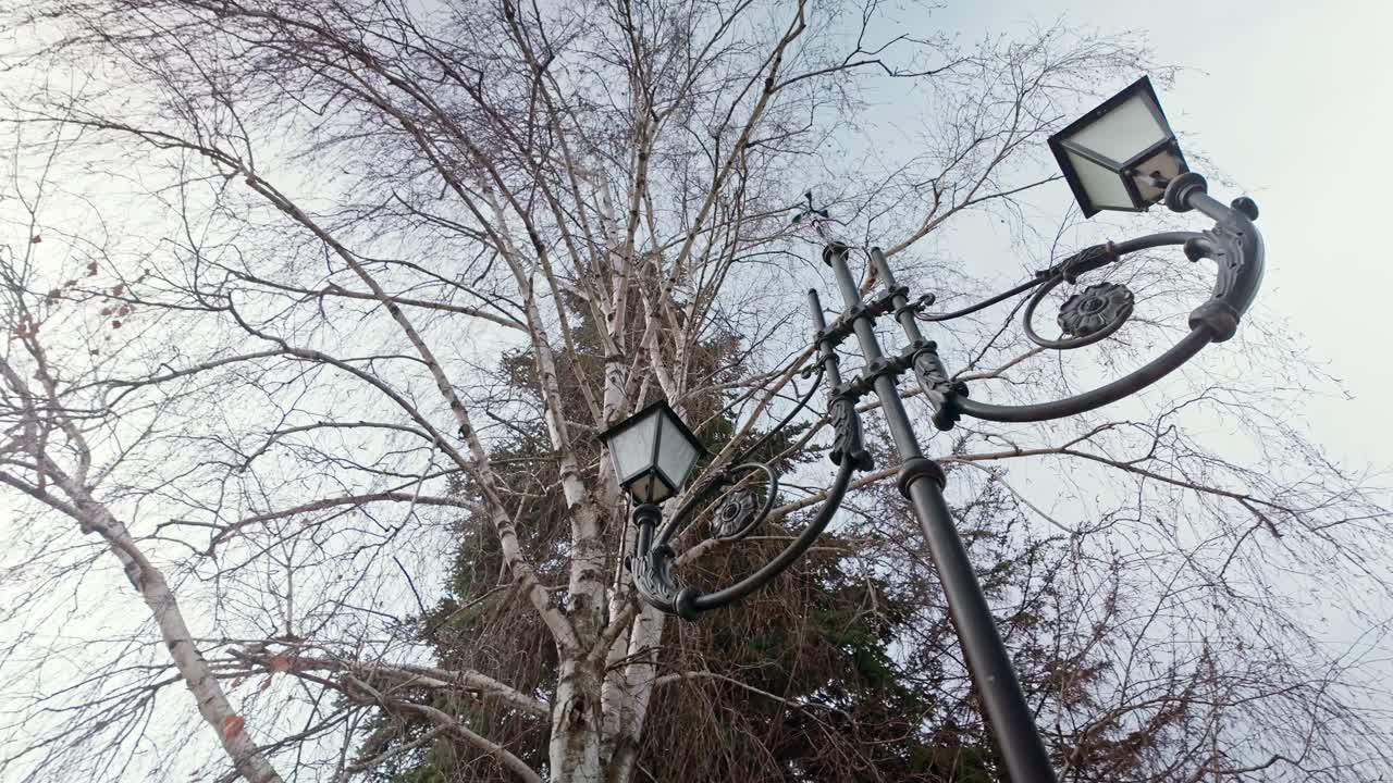 Ouderwetse, Victoriaanse, nostalgische lantaarnpalen in een parklandschap, opname vanuit een laag standpunt