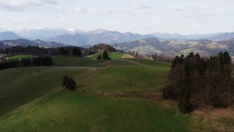 Sweeping-green-meadows-adorned-with-wild-crocuses,-saffrons-field-leading-to-a-sunlit-hill-with-majestic-snowy-mountains-in-the-distance