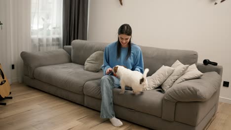 entrenamiento de cachorros de terrier en casa, divirtiéndose juntos con mascotas