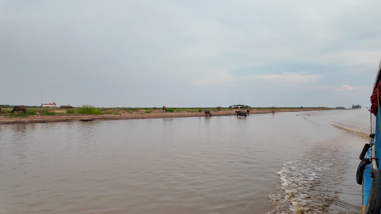 River in Asia filmed from boat. Houses on the edge of the Tonle Sap
