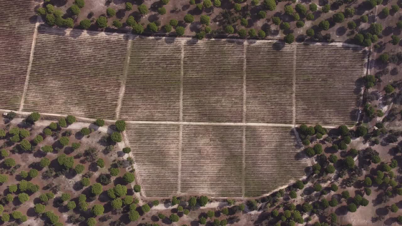 campo agrícola en portugal y viñedos