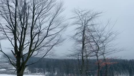 Weite-Winterlandschaft-Mit-Bäumen-Im-Vordergrund-Und-Schnee-Auf-Den-Hügeln-Und-Viel-In-Der-Nähe-Am-Horizont