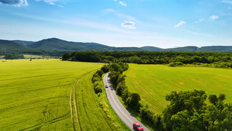 scenic road through green fields. a winding road curves through lush green fields under a bright blue sky, surrounded by distant hills and trees