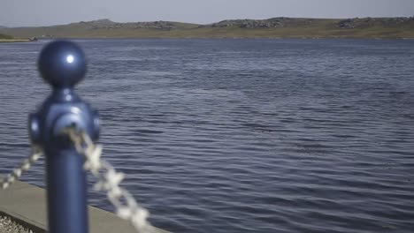 camera panning to the right reveals lake water behind a metal railing adorned with a chain, showcasing a tranquil scene