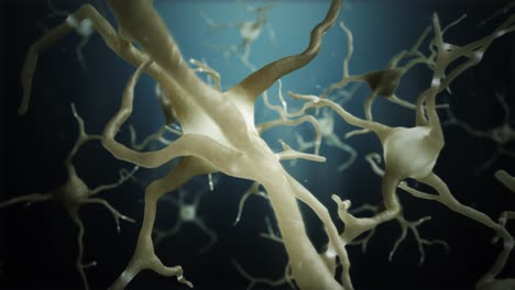 loop neuron cells connections world