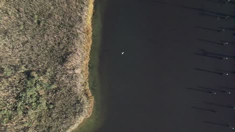 a top down view high over a salt marsh on a sunny day on long island, ny