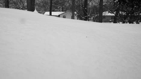 Nevando-En-El-Suelo-Con-El-Paisaje-Cubierto