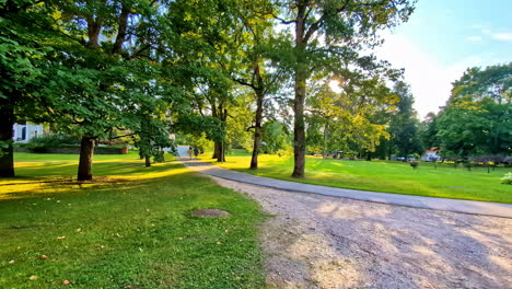 slow motion shot of a park during morning